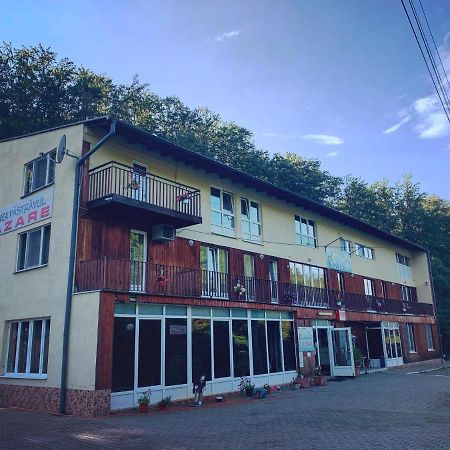 Pensiunea Pastravul Hotel Cartisoara Exterior photo
