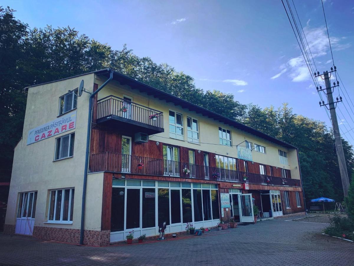 Pensiunea Pastravul Hotel Cartisoara Exterior photo