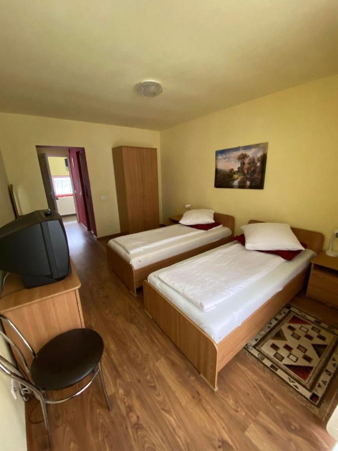 Pensiunea Pastravul Hotel Cartisoara Exterior photo